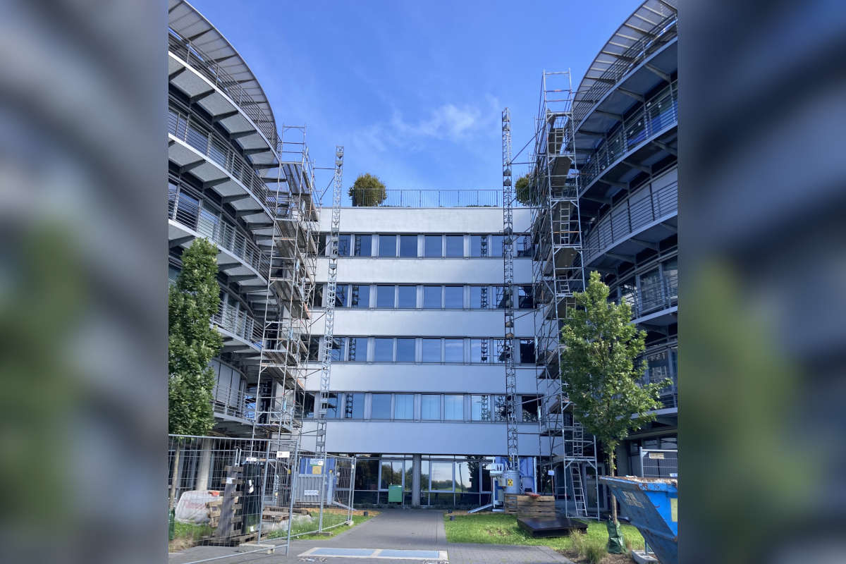 Vielfalt 3